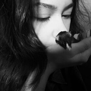 Meet your Posher, Z 🐭